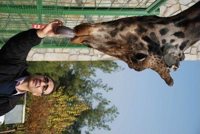 (&ouml;zel Haber) Hayvanat Bah&ccedil;esini 2 Milyon 750 Bin Kişi Ziyaret Etti 2