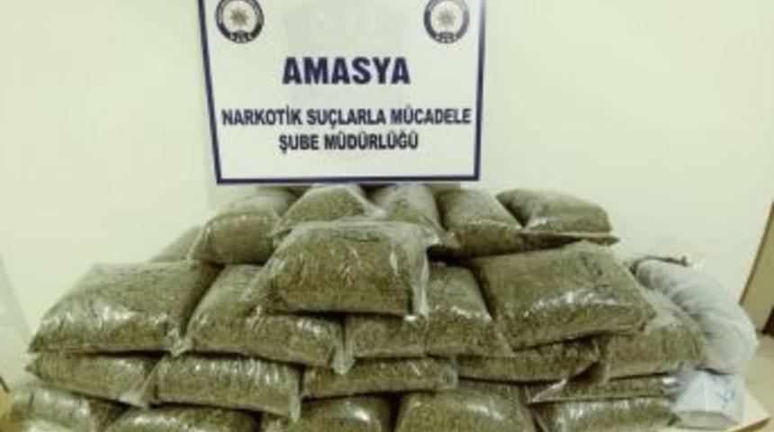 Amasya&rsquo;da 21,8 Kilo Bonzai Ele Ge&ccedil;irildi