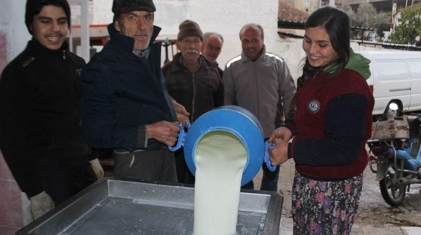 Birlik Olmayı Başaran Köylülerin Gelirleri Arttı