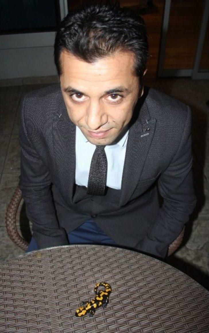 Adana’da Nesli Tükenmekte Olan "semender" Bulundu G4