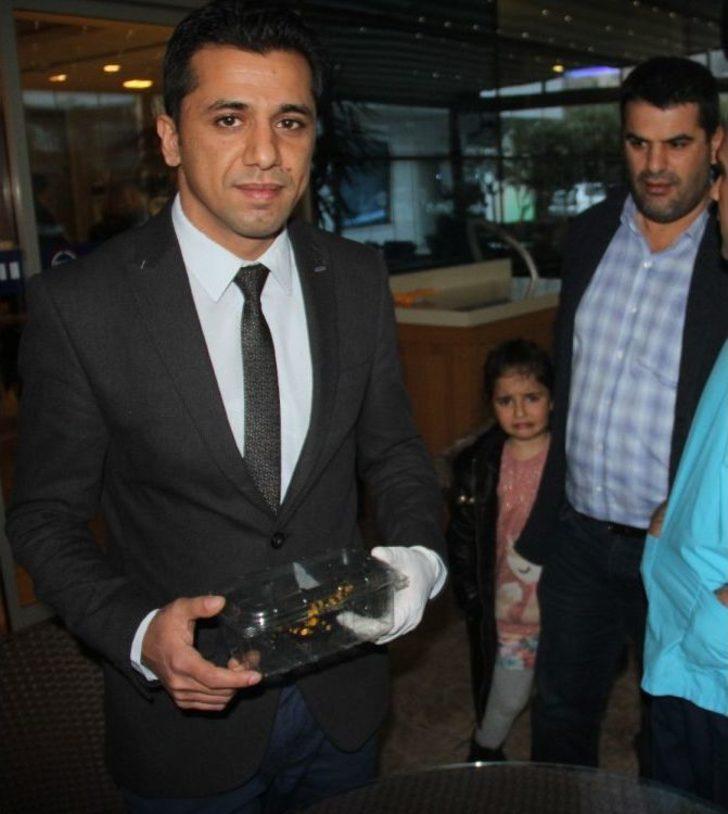 Adana’da Nesli Tükenmekte Olan "semender" Bulundu G5