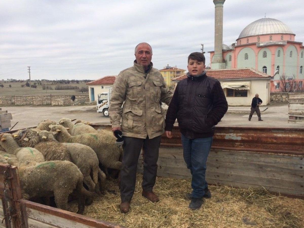 G&uuml;ny&uuml;z&uuml;l&uuml; Gen&ccedil; &Ccedil;ift&ccedil;ilere Koyunları Teslim Edildi