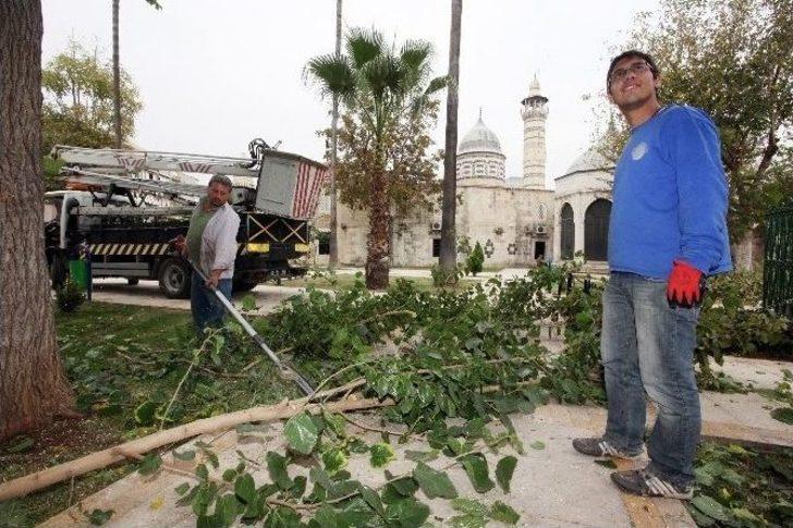 Ziyapaşa Dinlenme Parkı Yeniden Düzenlendi G1