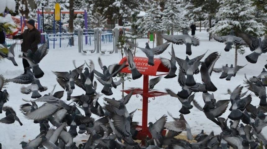 Melikgazi&rsquo;den Sokak Hayvanları Ve Kuşlara Gıda Desteği