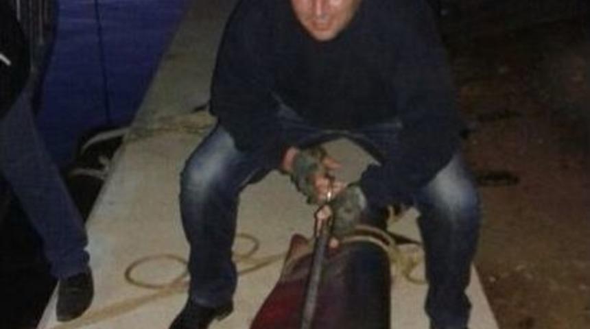 Oltaya K&ouml;pek Balığı Takıldı