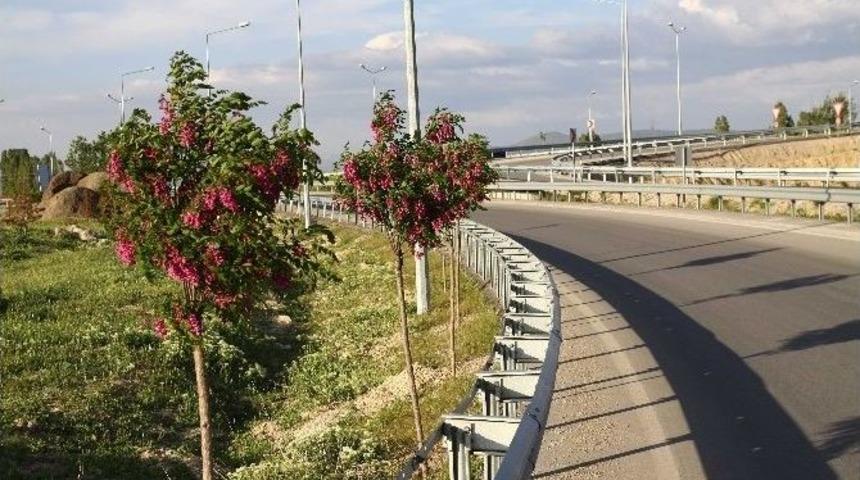 6 Bin 400 Kilometrelik Yol Kenarı Daha Ağa&ccedil;landırılacak