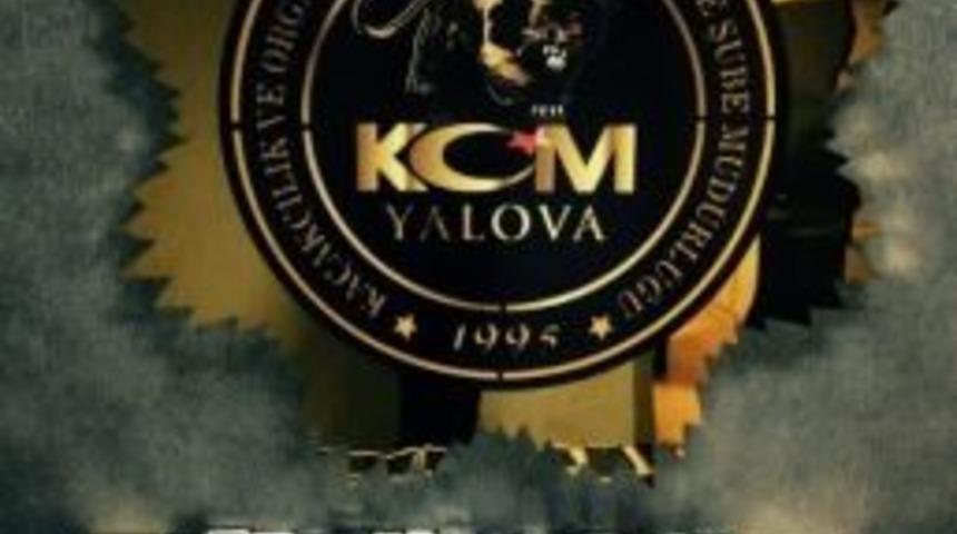 Yalova&rsquo;da G&uuml;mr&uuml;k Ka&ccedil;ağı Cep Telefonu Operasyonu