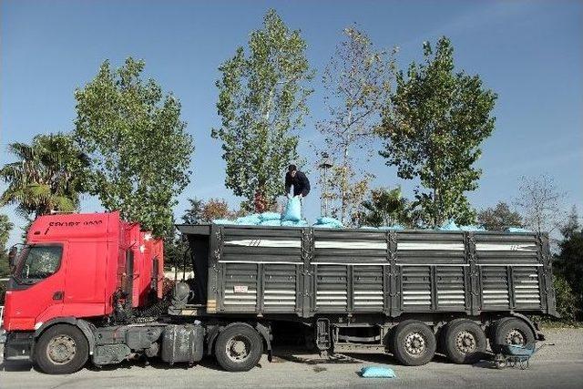 Büyükşehir Belediyesi Kaçak Kömüre Geçit Vermiyor 1