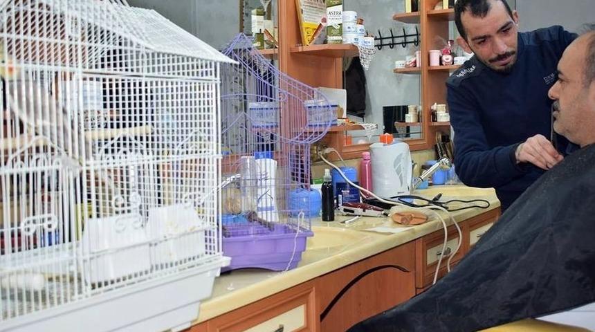 Kuş Cıvıltıları Arasında Tıraş Keyfi