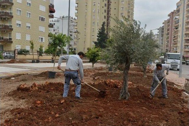 Doyran’a Fitness, Siteler’e Portakal Ve Zeytin Ağaçları