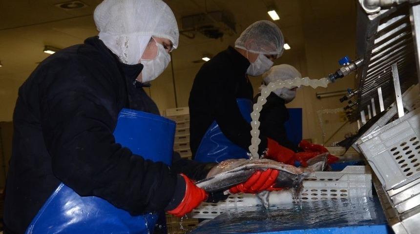 Ab Desteği İle Fabrika Kurdu, Şimdi 5 Milyon Liralık İhracat Yapıyor