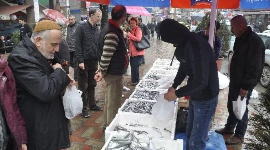 Hamsinin Kilosu 2,5 Liraya D&uuml;şt&uuml;