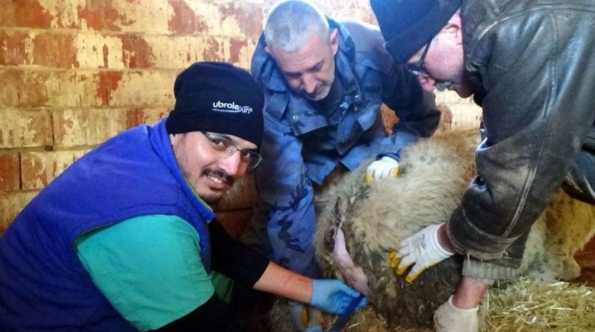 Et &Uuml;retimi S&uuml;ngerleme İle Artacak