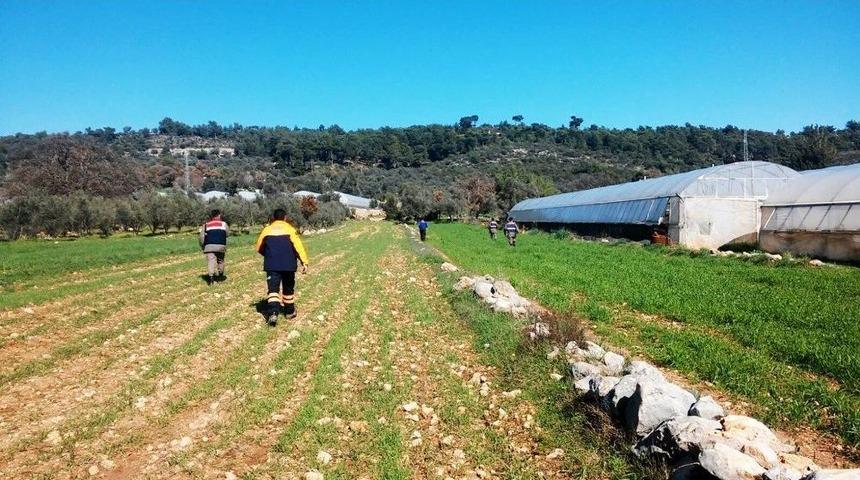 Alzheimer Hastası Yaşlı Kadın Zeytin Bah&ccedil;esinde Uyurken Bulundu