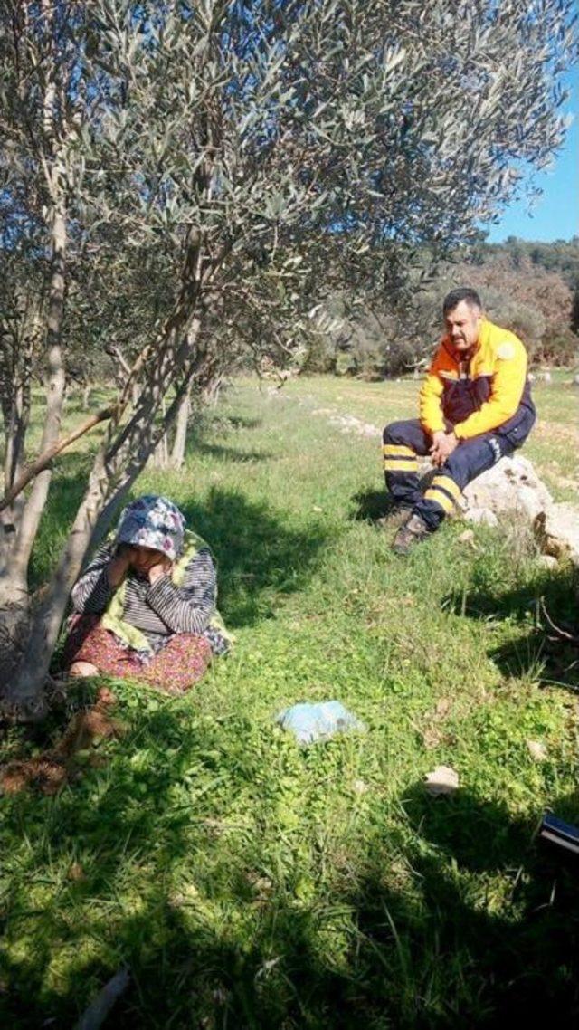 Alzheimer Hastası Yaşlı Kadın Zeytin Bahçesinde Uyurken Bulundu