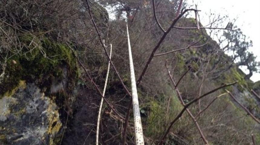 K&uuml;tahya&rsquo;da S&uuml;r&uuml;den Ayrılan Ke&ccedil;ileri Kurtarma Operasyonu