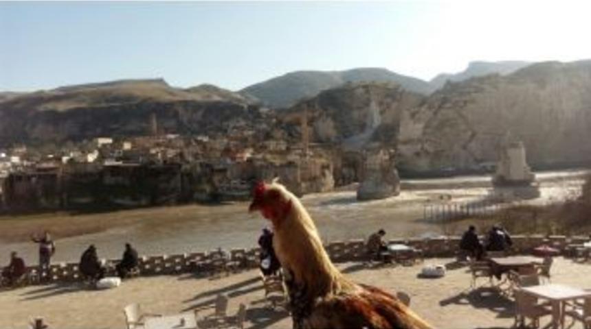 Tarih G&ouml;lgesinde Bahar Havası Eşliğinde &Ccedil;ay Keyfi