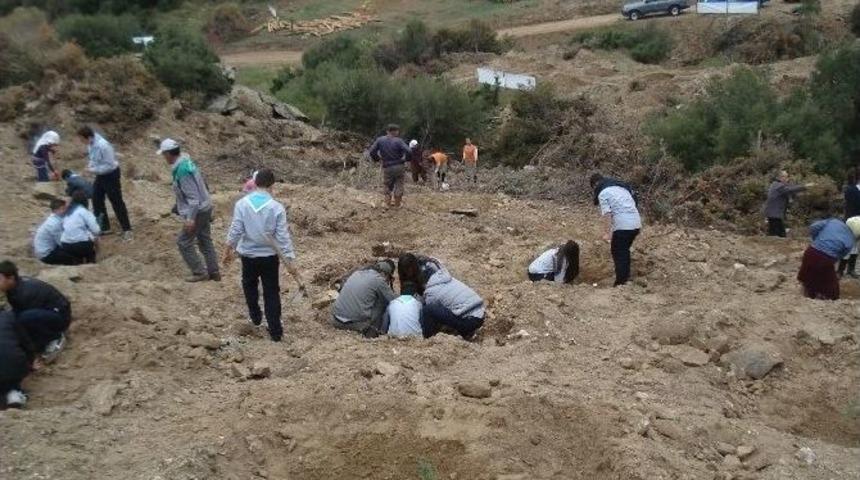 Yenipazar&rsquo;da 10 Bin Kan Bağışına 10 Bin Fidan