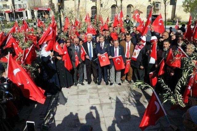 Afrin’deki Operasyona Şehit Ailelerinden Zeytin Dalı İle Destek