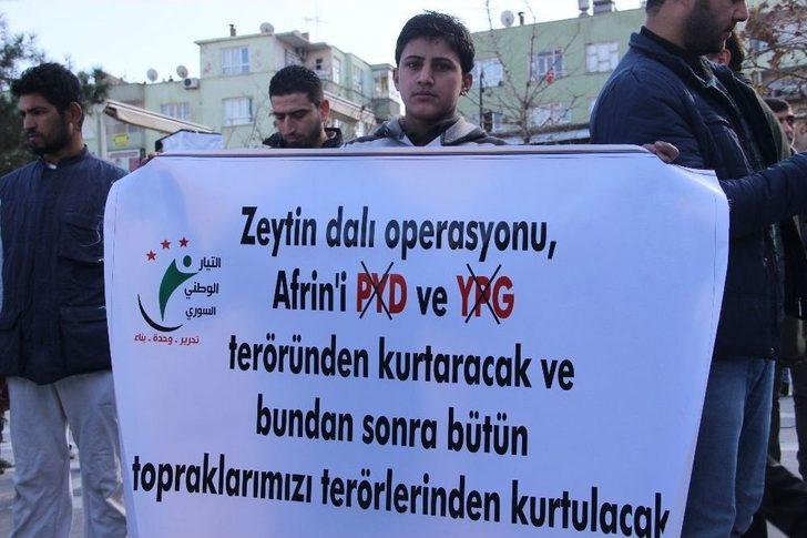 Suriyeliler Ellerinde Zeytin Dallarıyla Harekata Destek Verdi G2