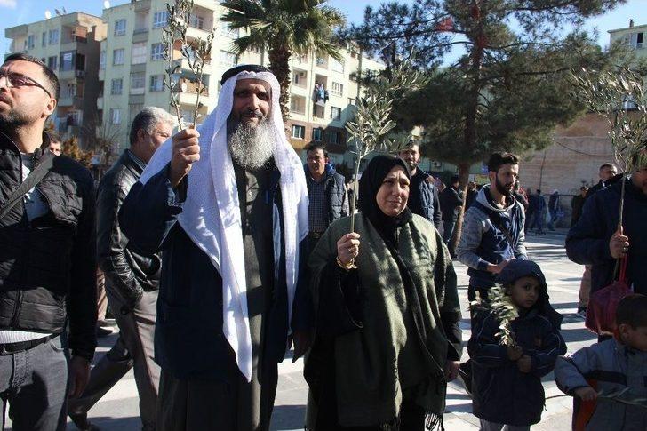 Suriyeliler Ellerinde Zeytin Dallarıyla Harekata Destek Verdi G5