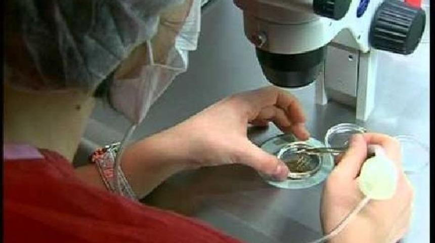 D&uuml;nyadaki 5 Milyon Ivf Bebeğini Neler Bekliyor?