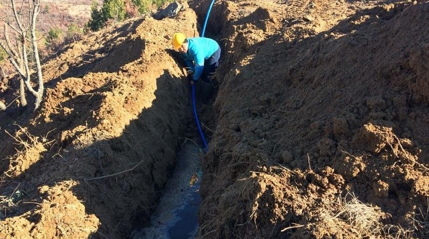 Ulacıklılar Daha Sağlıklı Su İ&ccedil;ecek