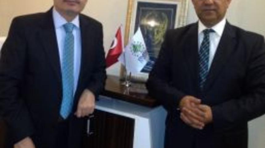 Siteler Profesyonel Ellerde