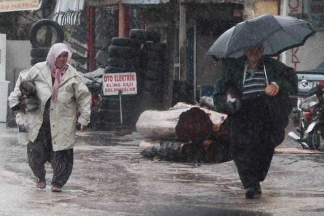 Boruları Paylaştı, Şemsiyesine Kıyamadı