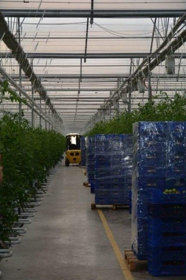 Yunusemre Belediyesi’nden Antalya Tarım Fuarı’na Çıkarma 3