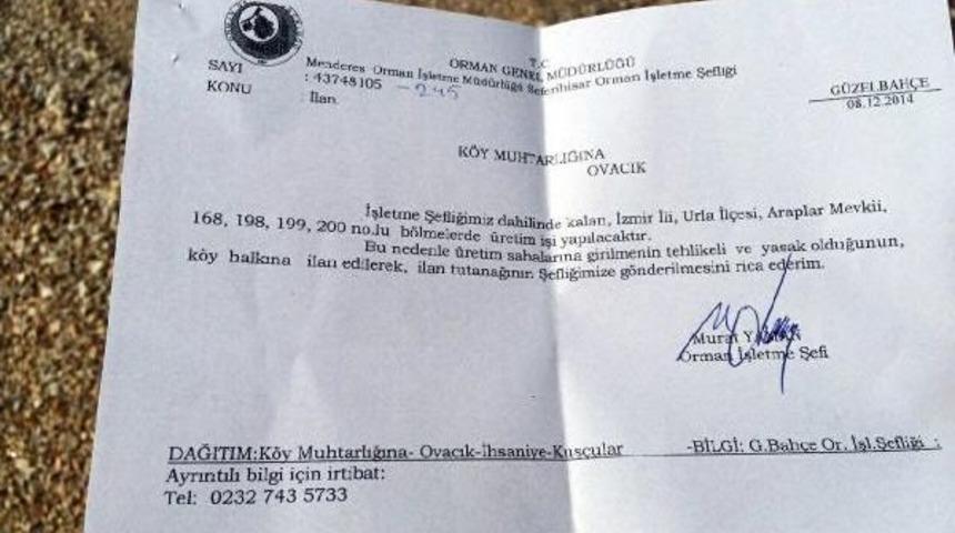 Urla'da Res İ&ccedil;in 95 Bin Metrekarelik Alanda, 1806 &Ccedil;am Ağacı Kesilecek