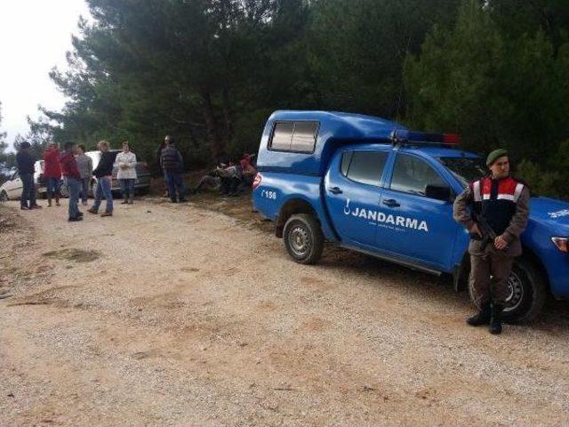 Urla'da Res İçin 95 Bin Metrekarelik Alanda, 1806 Çam Ağacı Kesilecek