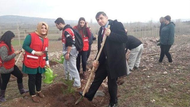 Tokat&rsquo;ta &ldquo;bir Kan, Bir Fidan&rdquo; Projesi 1