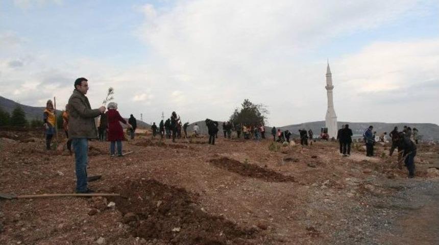 40&rsquo;ıncı Yıl Ormanı&rsquo;nda Fidan Dikimine Başlandı