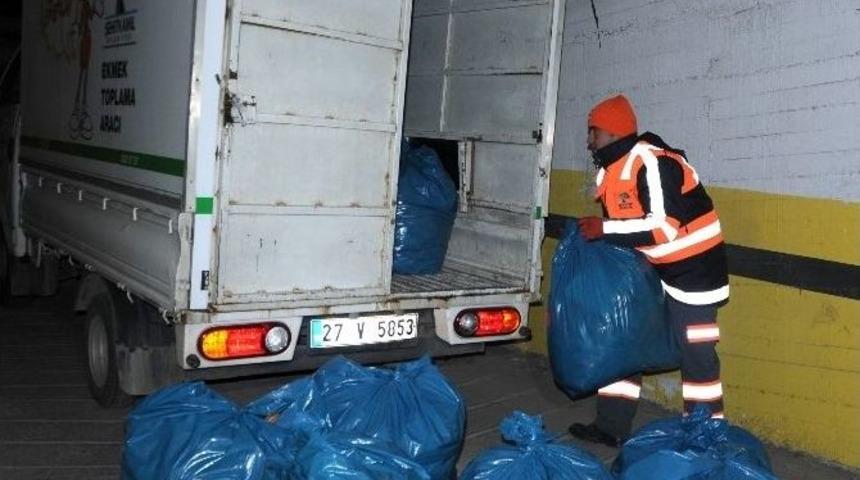 Şehitkamil Belediyesi 1 Yıl İ&ccedil;inde 780 Ton Ekmeyi İsraf Olmaktan Kurtardı