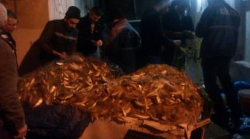 Zonguldak&rsquo;ta Balık&ccedil;ıların Y&uuml;z&uuml; G&uuml;ld&uuml;