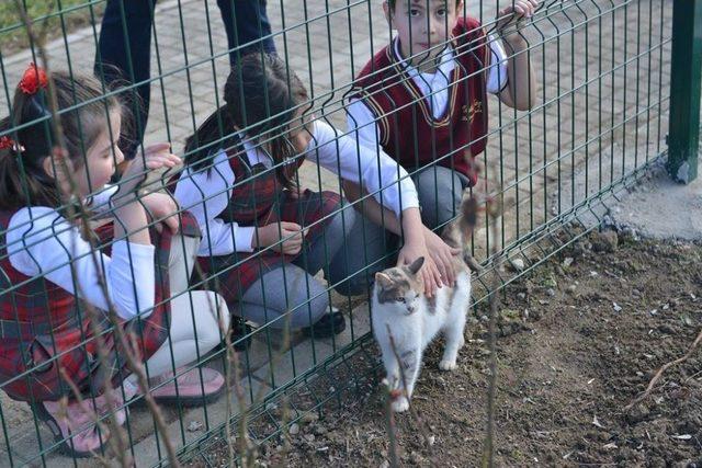 İnegöl Yeni Hayvan Barınağı İçin Gün Sayıyor