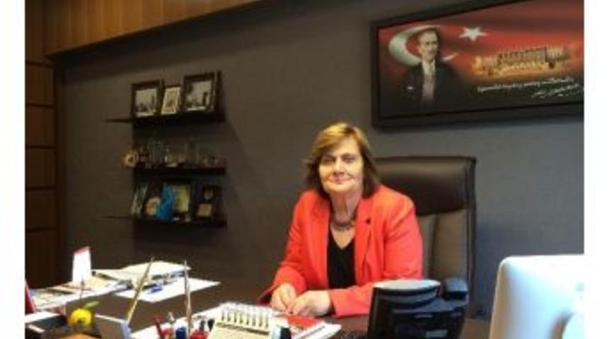 Akova&rsquo;dan Zeytin &Ouml;nergesi