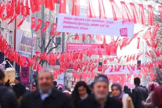 Alemdağ Caddesi Prestijine Prestij Kattı