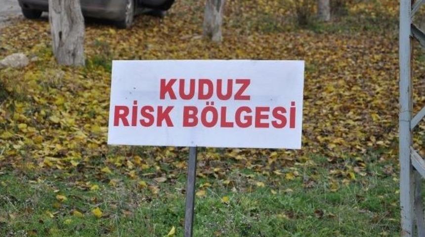 Pertek&rsquo;te Kuduz Karantinası