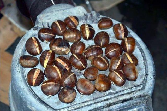 Unutkanlığa Karşı Kestane &Ouml;nerisi 1