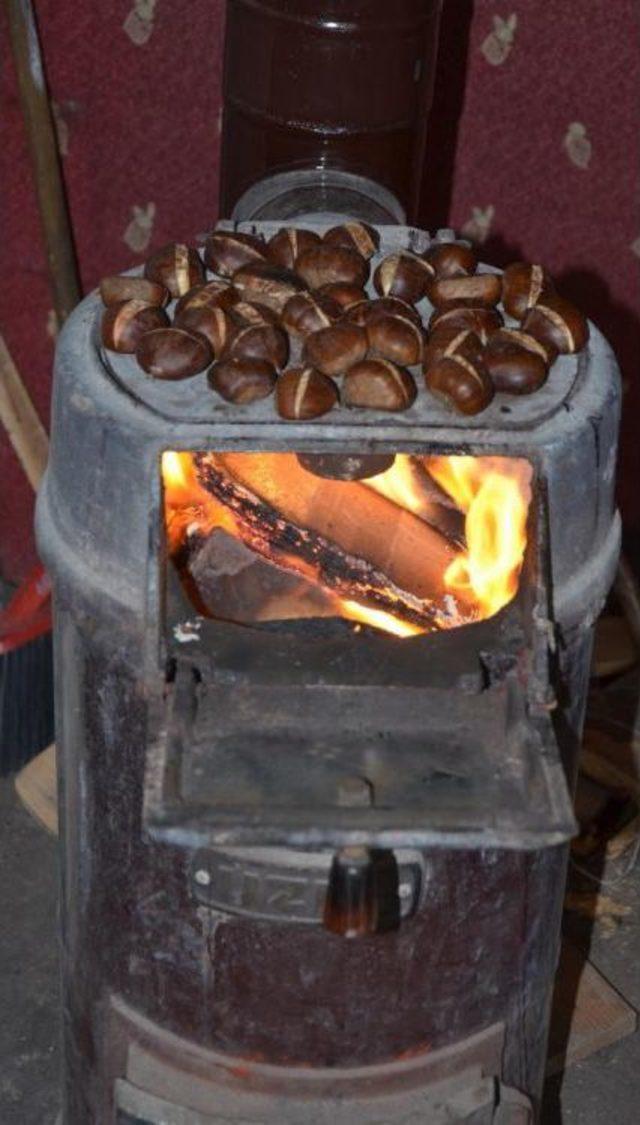 Unutkanlığa Karşı Kestane &Ouml;nerisi 2