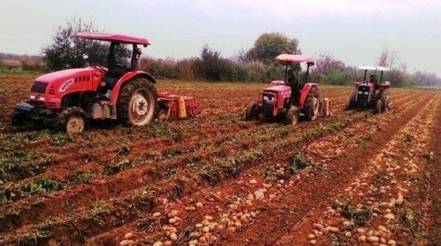 &Ouml;demiş&rsquo;te G&uuml;z Patatesi Yağışlı Havaya Takıldı
