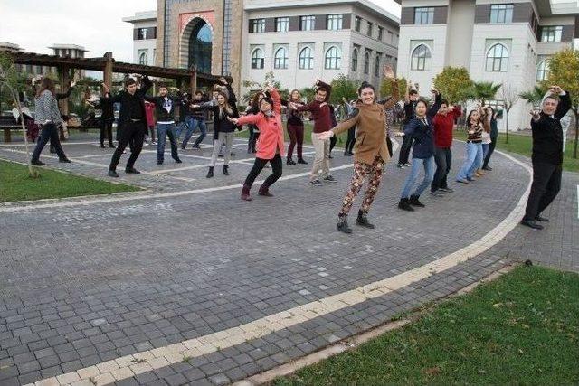 Ders &Ouml;ncesi Qigong/taiji Desteği 1