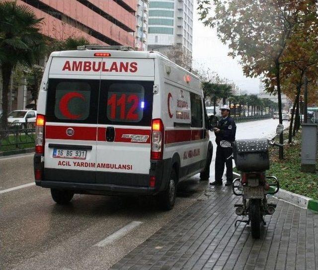 &Ccedil;arptığı Yaşlı Kadının Başından Ayrılmadı 3