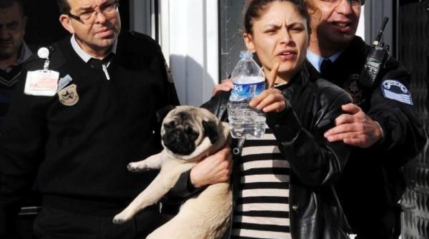 Uyuyan Arkadaşına Vazoyla Saldırdı, K&ouml;peğiyle G&ouml;zaltına Alındı