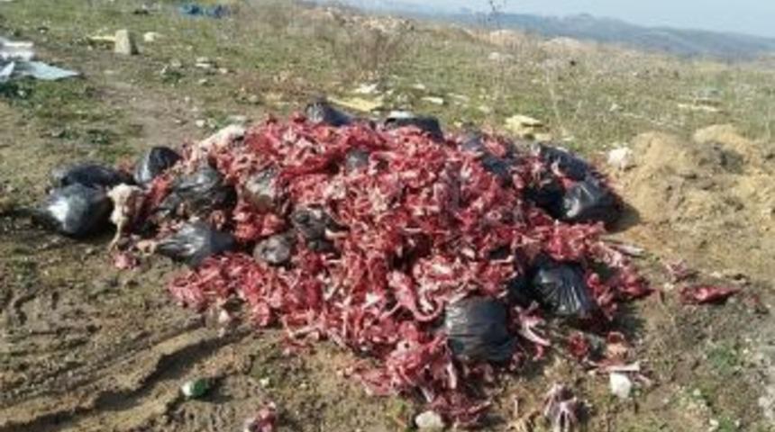 Bursa’da Çevre Katliamı