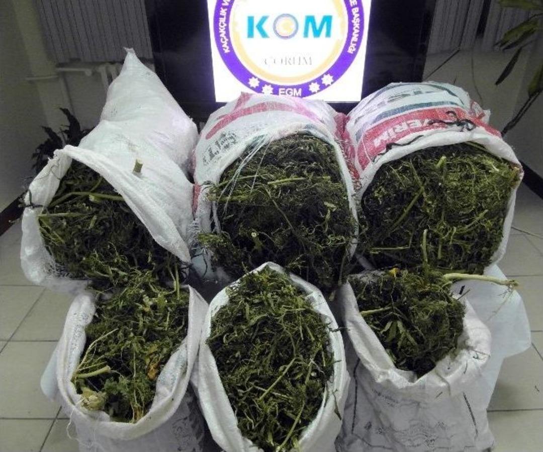 &Ccedil;orum Polisinden Ka&ccedil;ak&ccedil;ılara Darbe