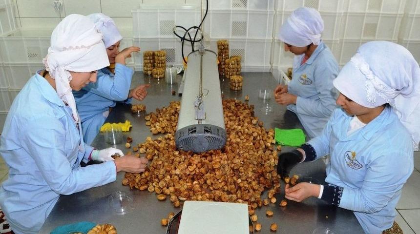 Nazilli&rsquo;den Kahramanlara İncir Dopingi