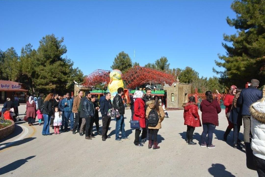 Cumhurbaşkanı Erdoğan&rsquo;a Hediye Edilen Aslanlar Ziyaret&ccedil;i Akınına Uğruyor